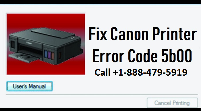 Canon Printer error 5B00