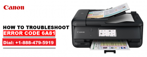 Canon Printer error 6A81