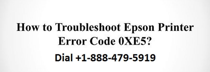 Epson Printer Error Code 0xe5