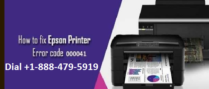 Epson printer error 000041
