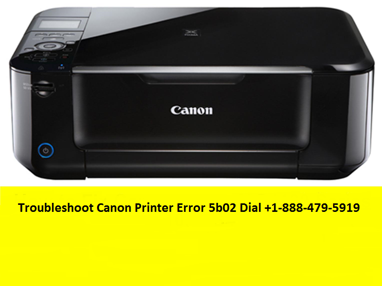 Canon Printer Error 5b02