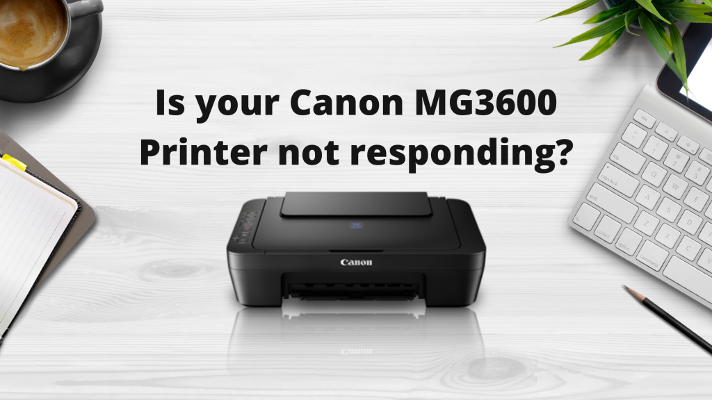 Canon MG3600 Printer not responding